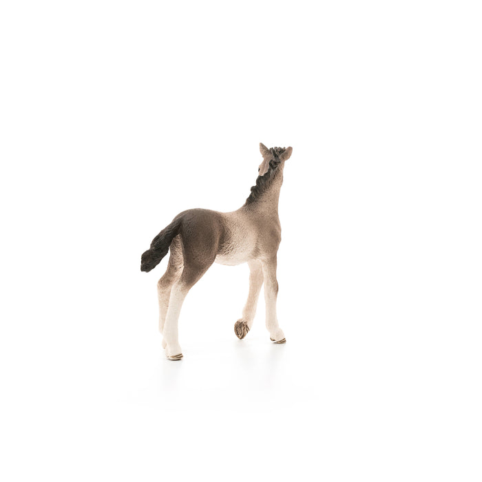 Andalusian Foal Horse Toy