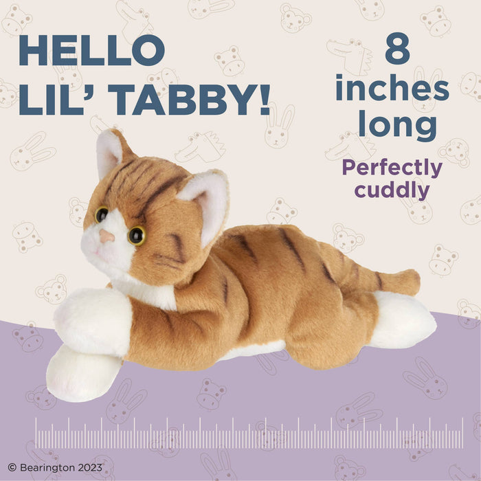 Lil' Tabby the Orange Cat