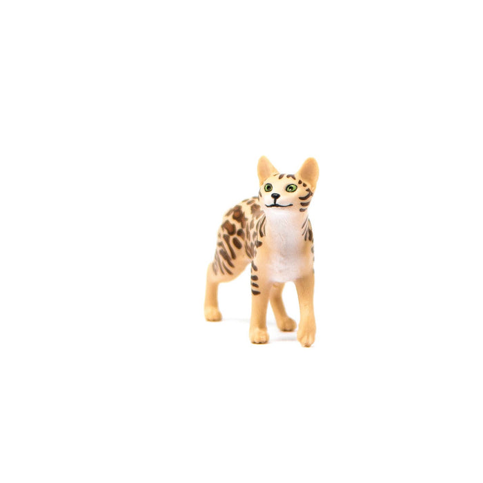 Bengal Cat Toy