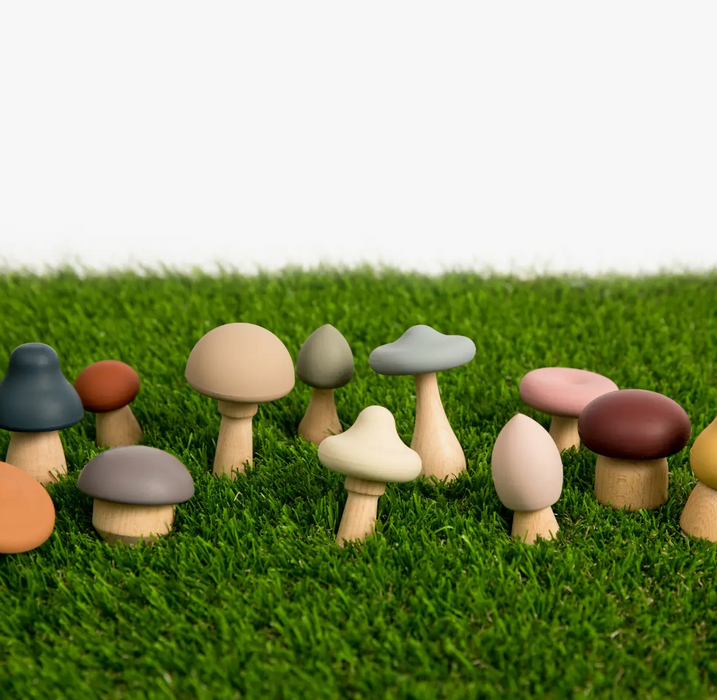 Wood + Silicone Mushroom Sorting Set