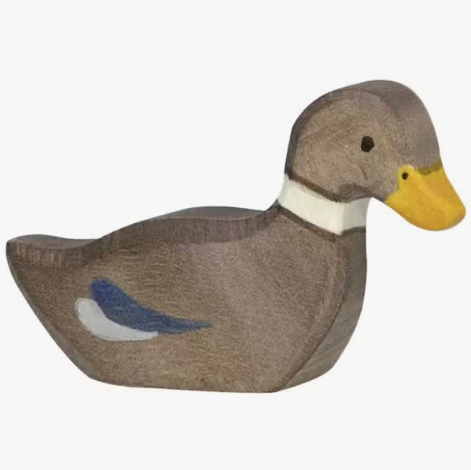 Swimming Duck