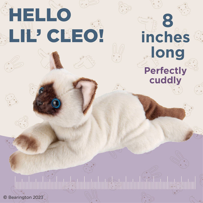 Lil' Cleo the Siamese Cat