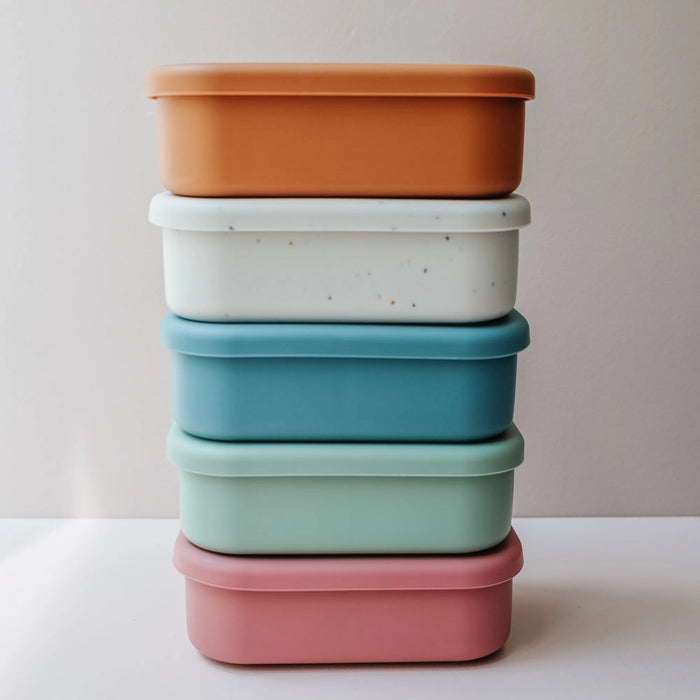 Speckled Bento Box