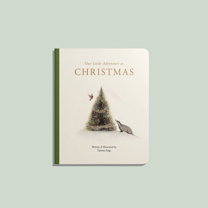 Our Little Adventure at Christmas (Board Book)