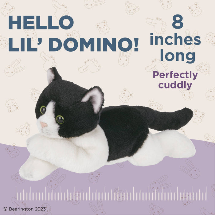 Lil' Domino the Black & White Cat