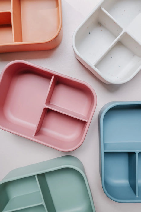 Speckled Bento Box