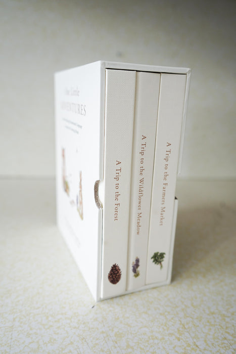 Our Little Adventures Book Box Set