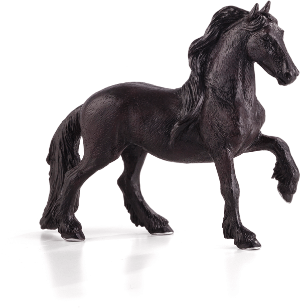 MOJO Friesian Mare