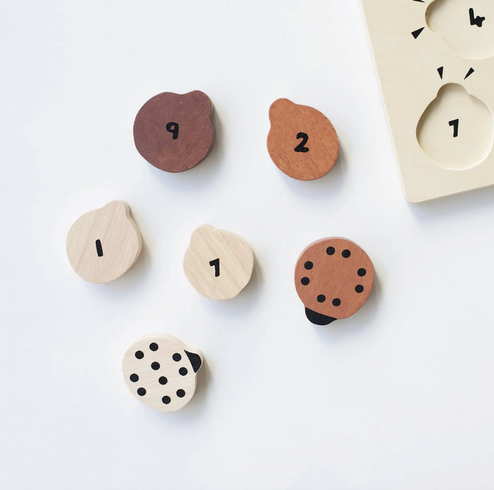 Wooden Tray Puzzle - Count to 10 Ladybugs