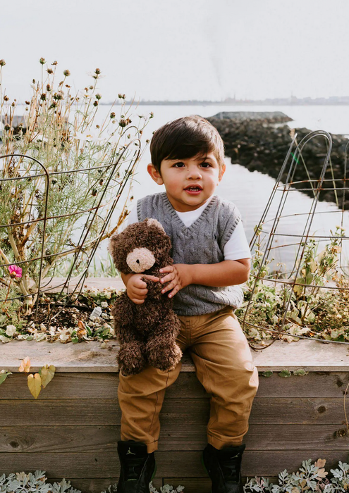Cubby Bear