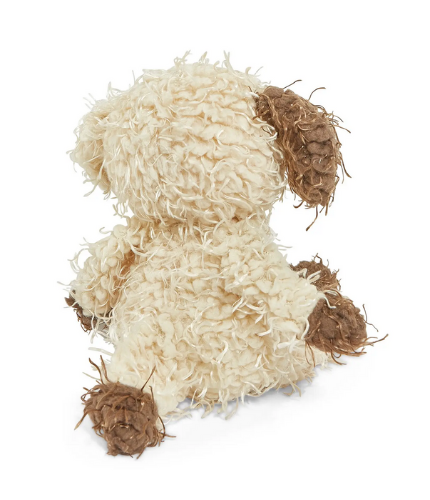 Shaggy Fetch Puppy