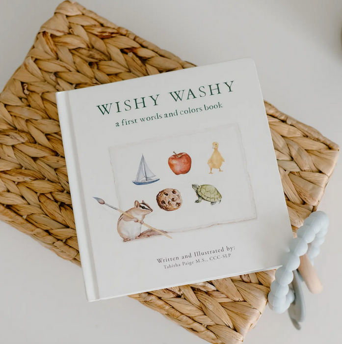 Wishy Washy: First Words and Colors Book
