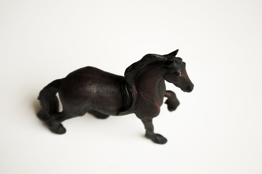 MOJO Friesian Mare